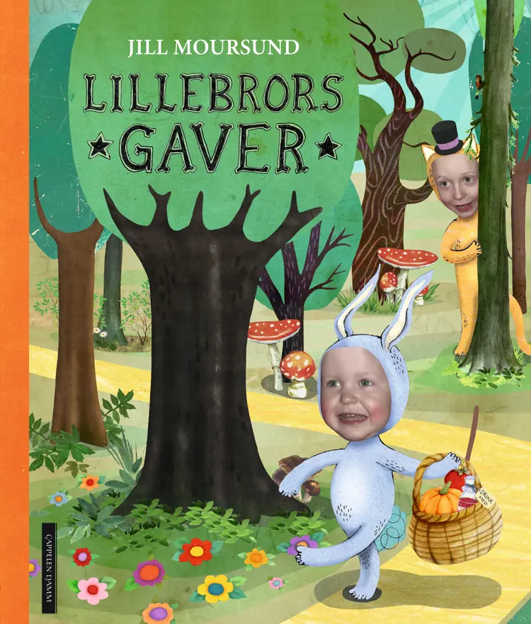 Omslag Lillebrors gaver av Jill Moursund (Innbundet)