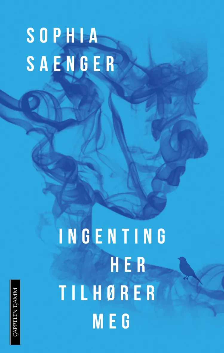 Omslag Ingenting her tilhører meg av Sophia Saenger (Innbundet)