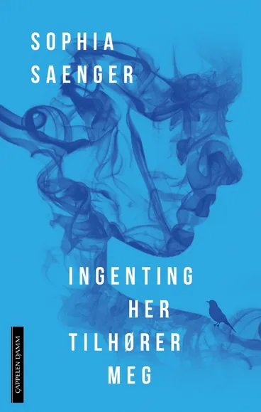 Omslag Ingenting her tilhører meg av Sophia Saenger (Innbundet)
