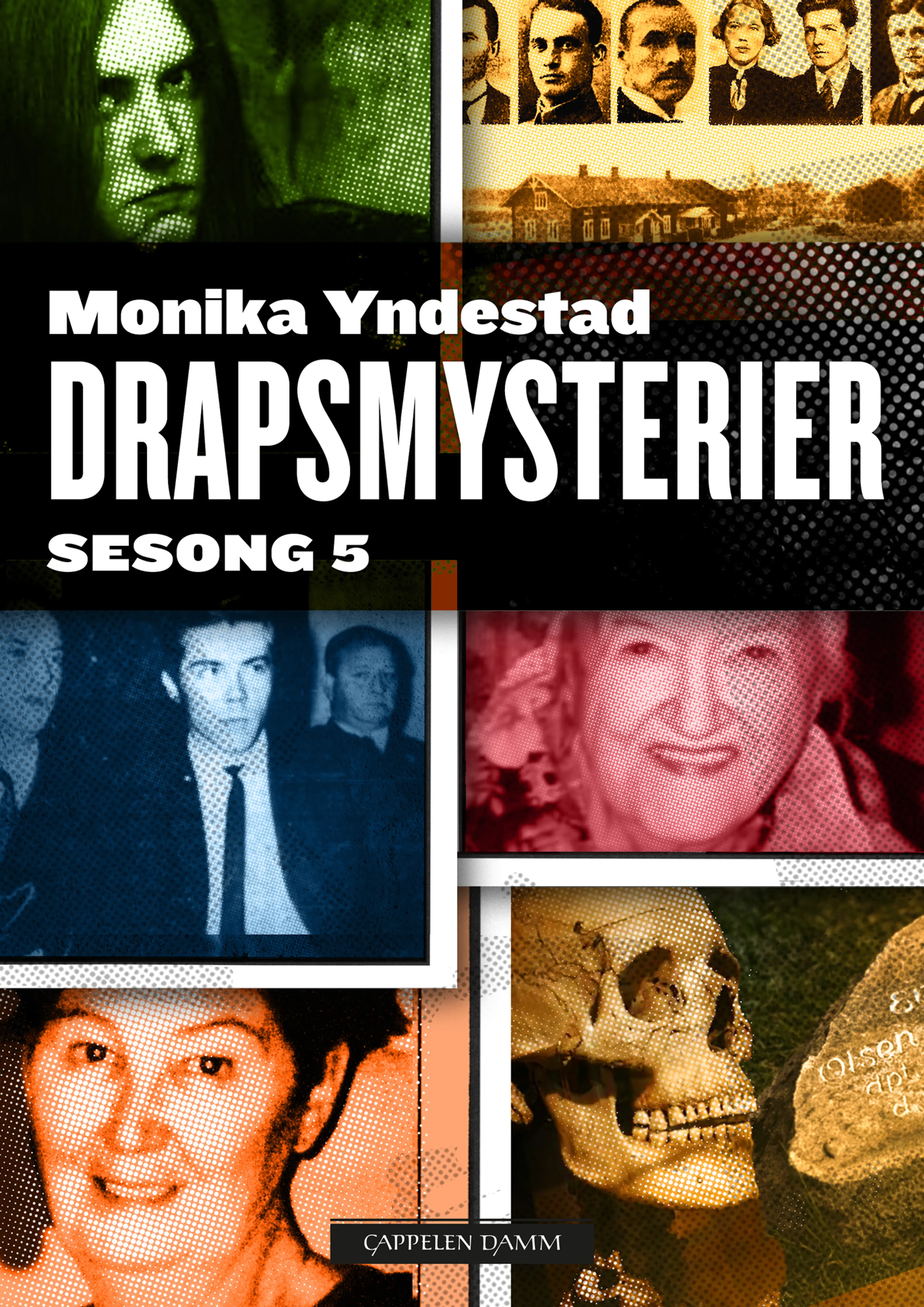Omslag Drapsmysterier Sesong 5 av Monika N. Yndestad (Ebok)