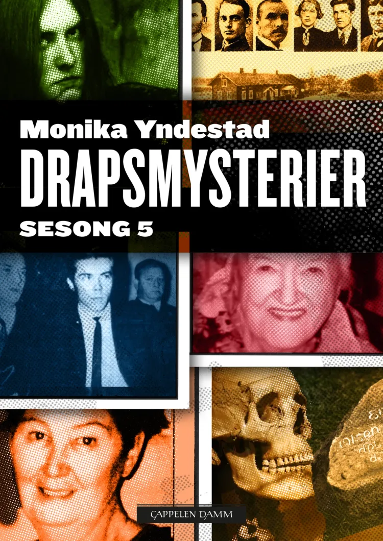 Omslag Drapsmysterier Sesong 5 av Monika N. Yndestad (Ebok)