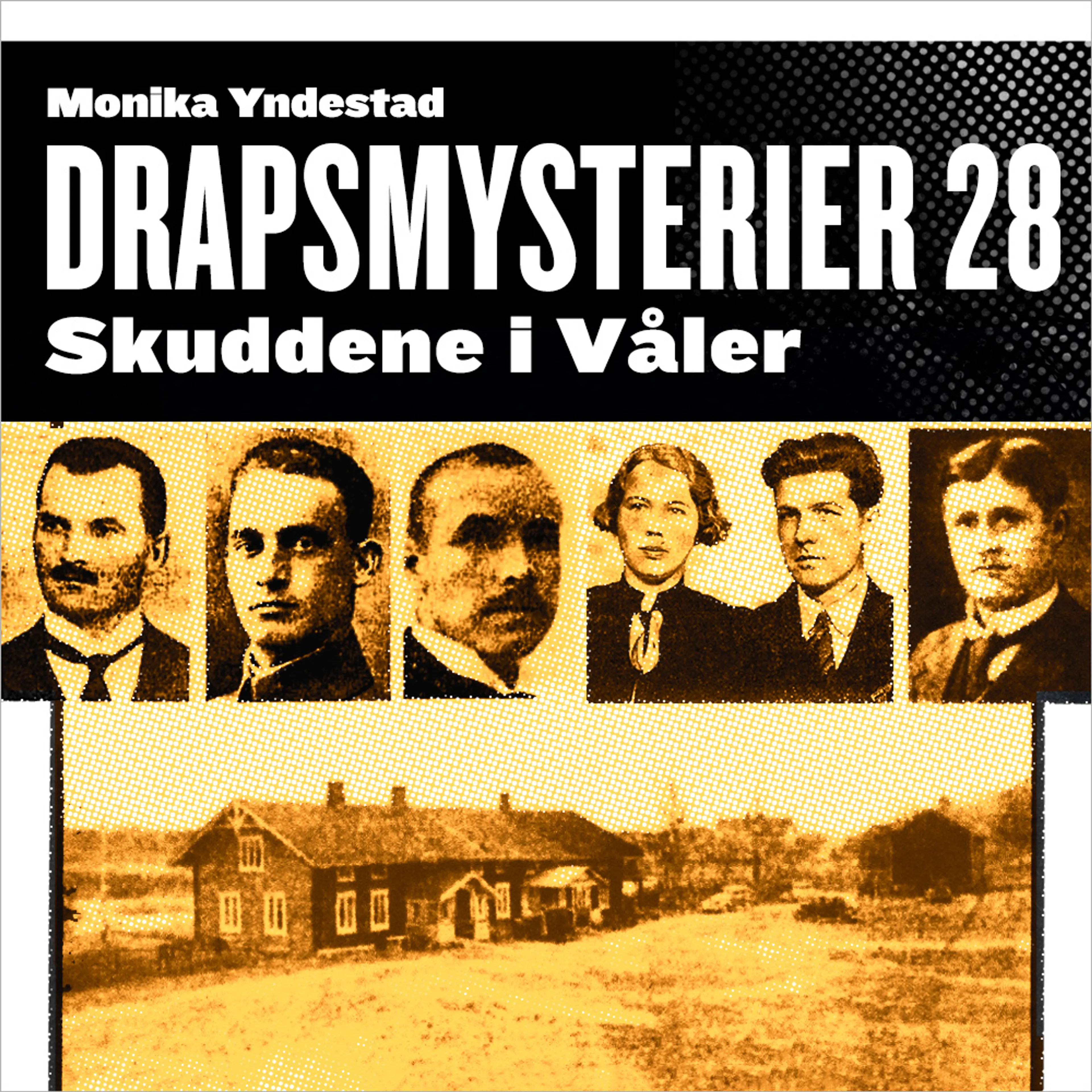 Omslag Skuddene i Våler av Monika N. Yndestad (Lydbok)