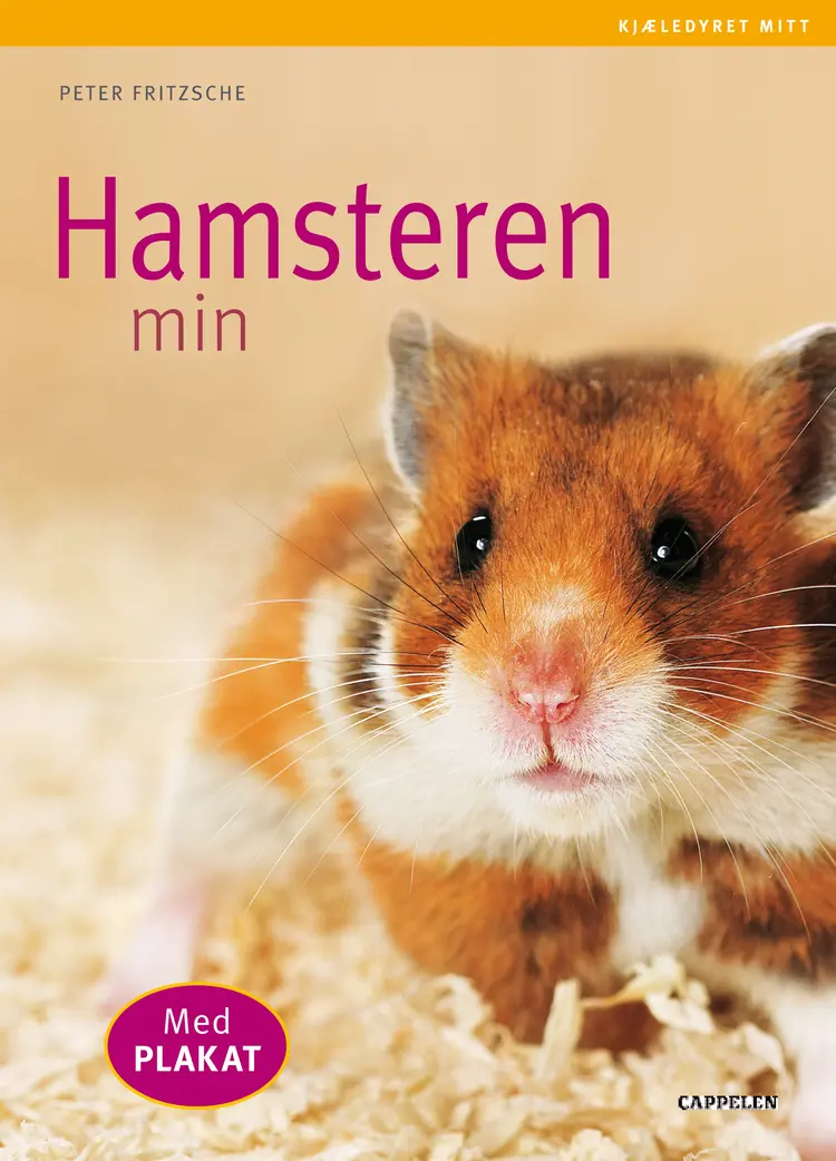 Omslag Hamsteren min av Peter Fritzsche (Heftet)