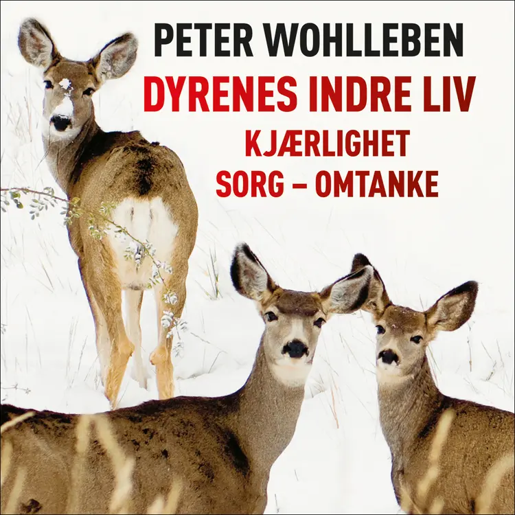 Omslag Dyrenes indre liv av Peter Wohlleben (Lydbok)