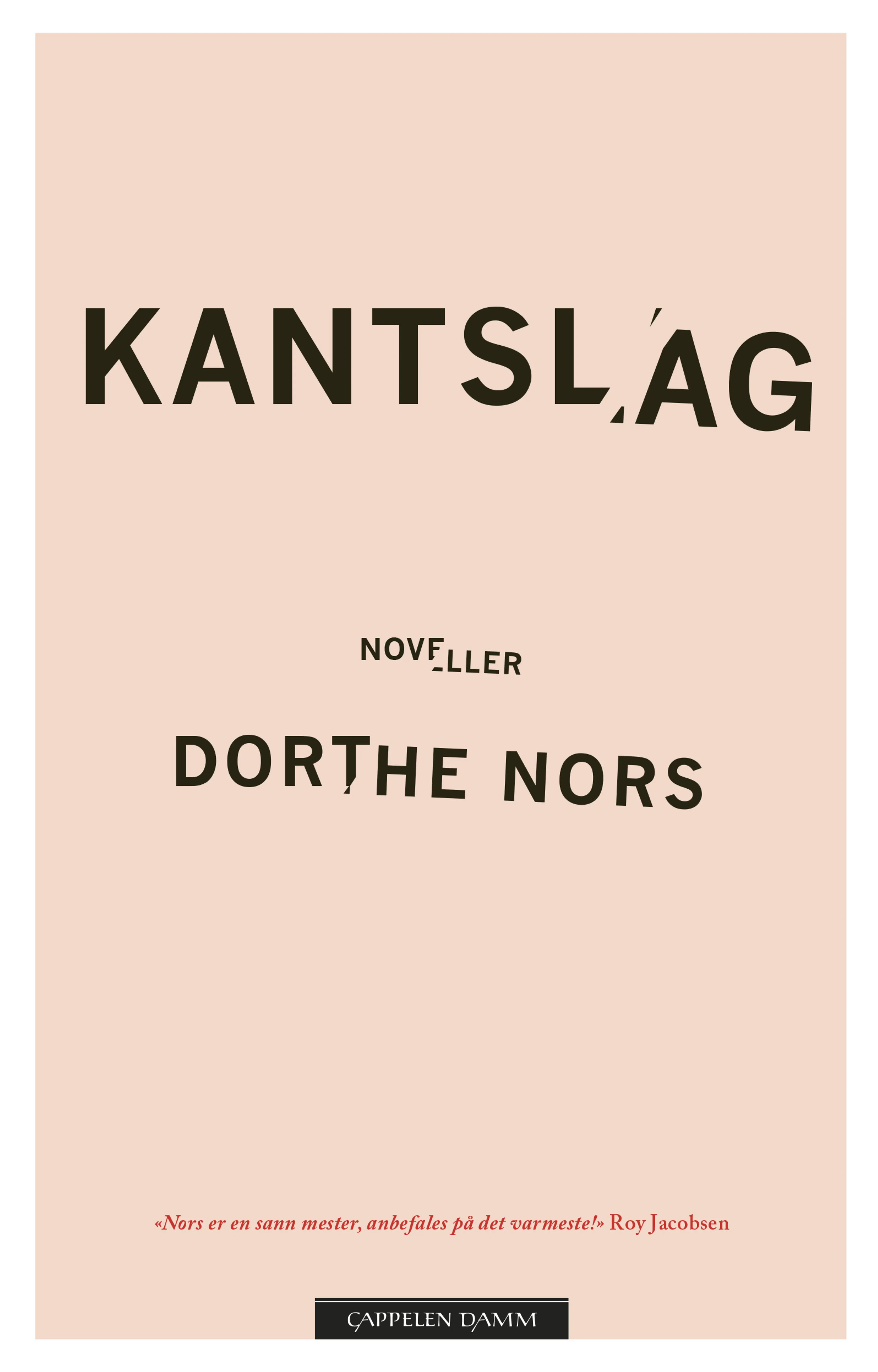 Omslag Kantslag av Dorthe Nors (Innbundet)