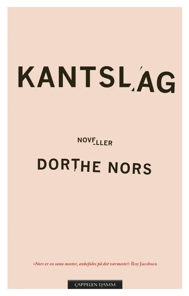 Omslag Kantslag av Dorthe Nors (Innbundet)
