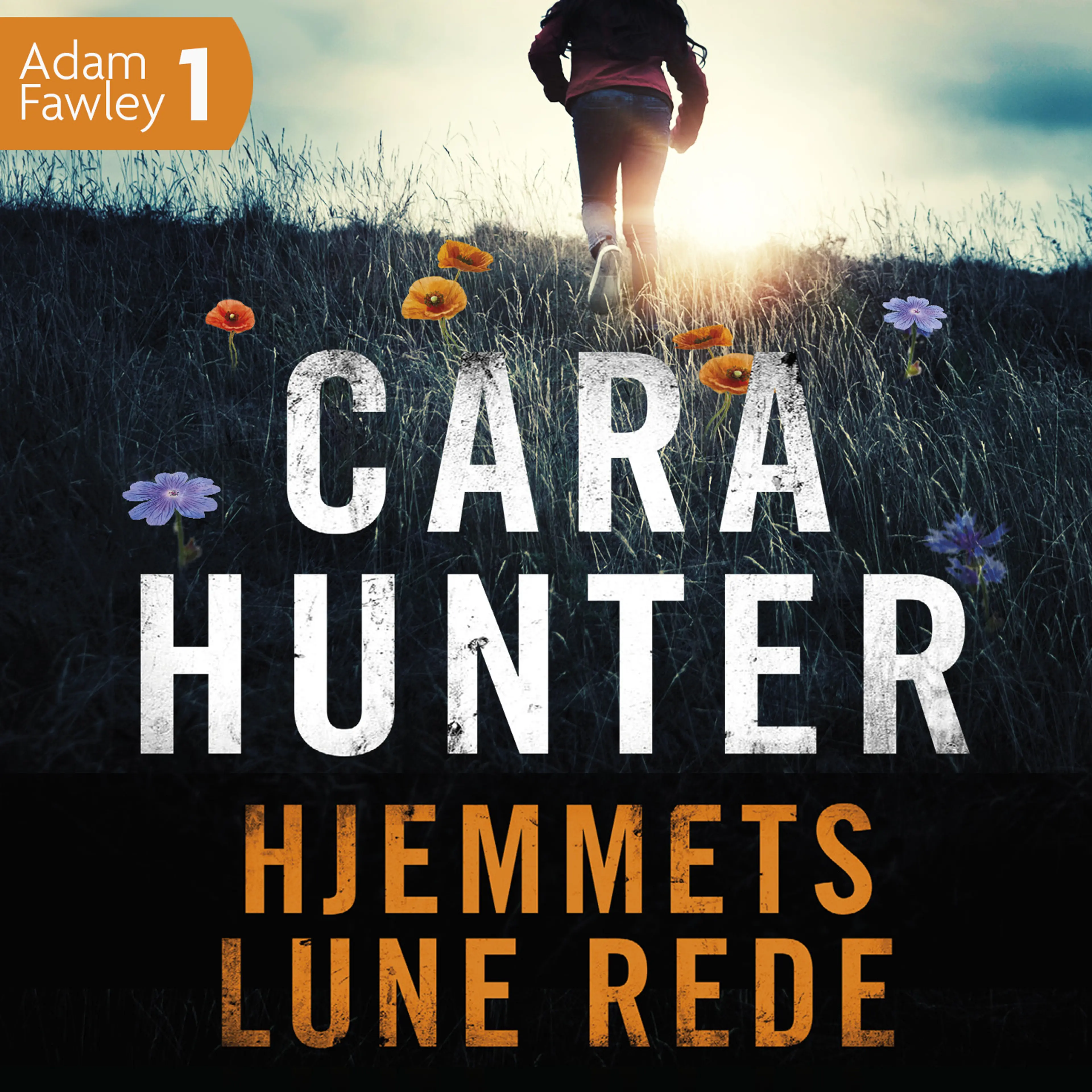 Omslag Hjemmets lune rede av Cara Hunter (Lydbok)
