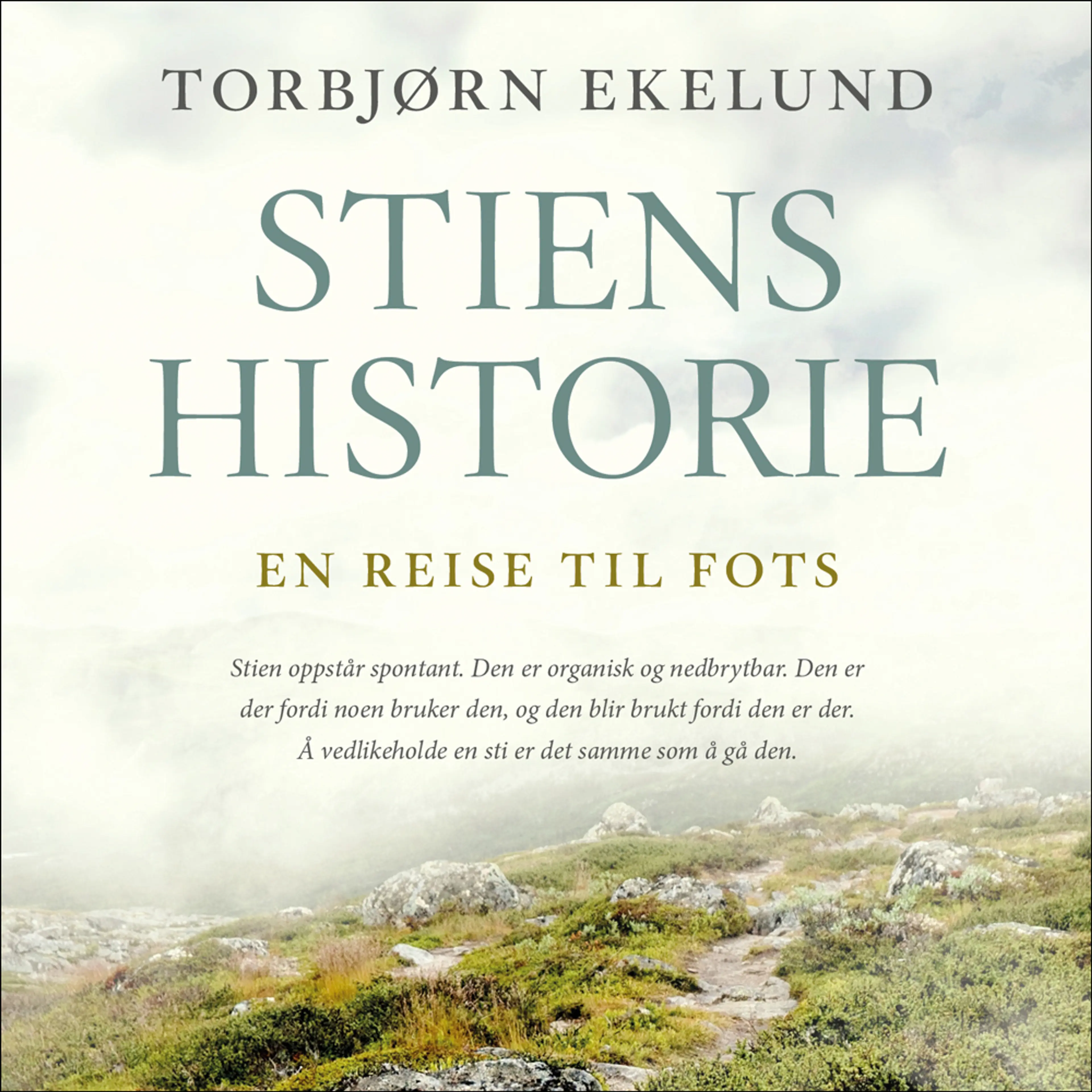 Omslag Stiens historie av Torbjørn Ekelund (Lydbok)