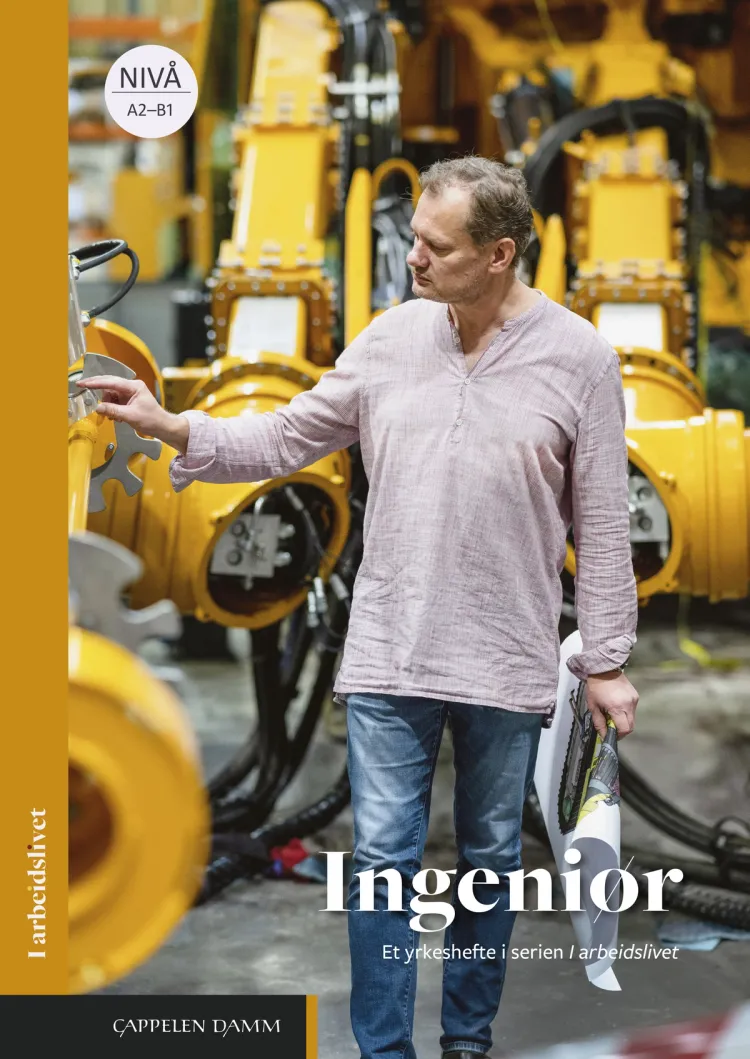 Omslag I arbeidslivet Ingeniør av Anita Moltumyr og Krzysztof Lisiecki (Heftet)