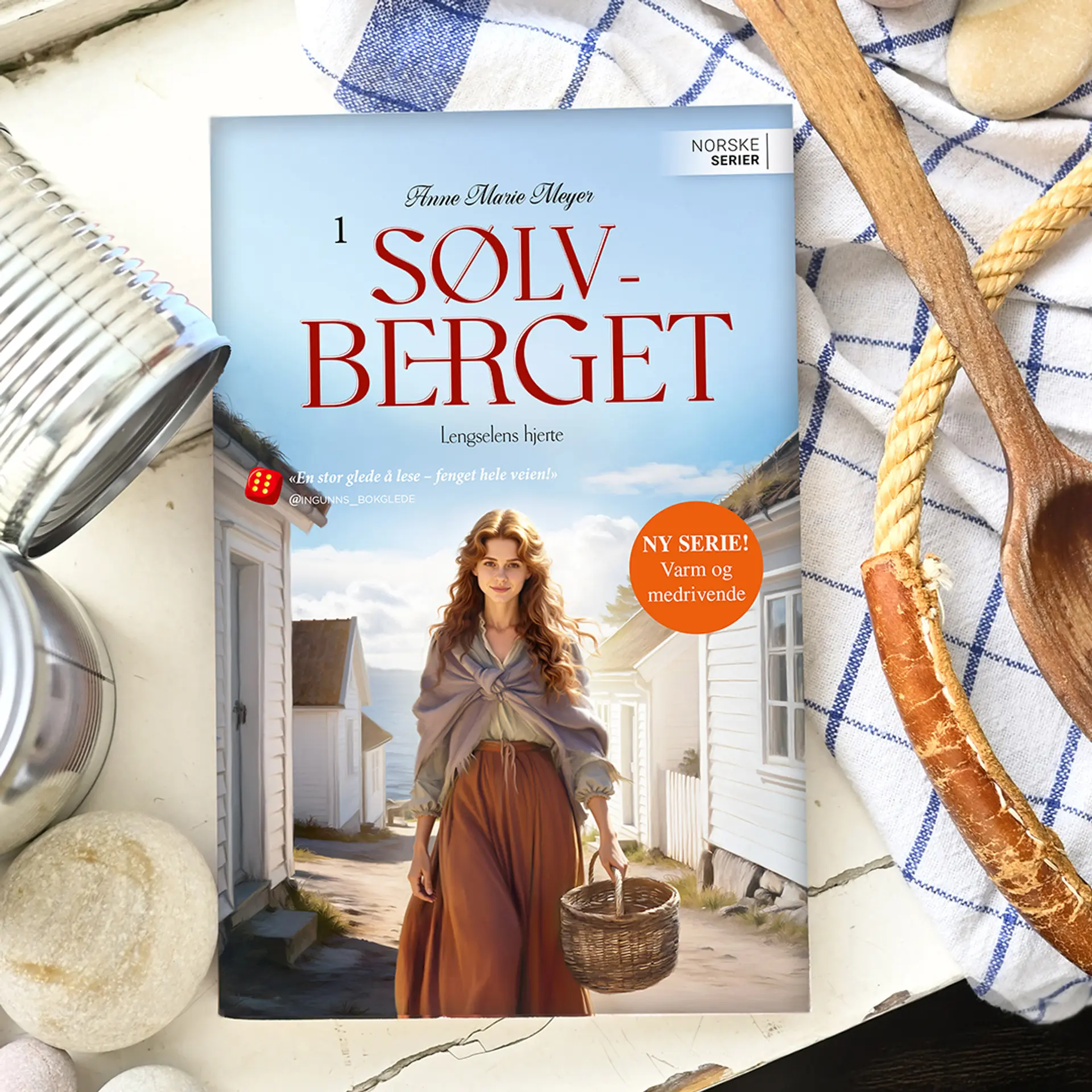 Sølvberget 1 av Anne Marie Meyer