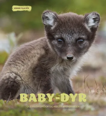 Omslag Baby-dyr av Ole Mathismoen og Roger Brendhagen (Innbundet)