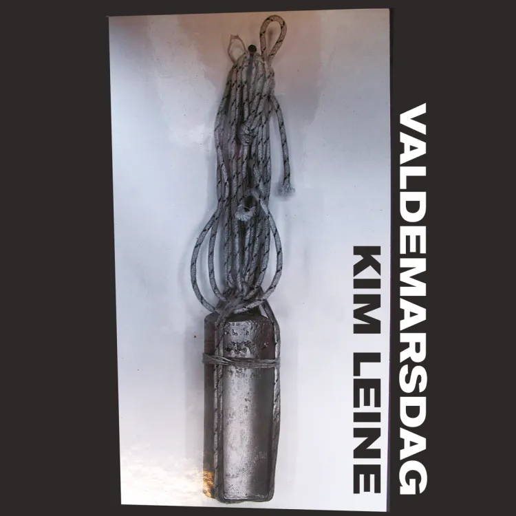 Omslag Valdemarsdag av Kim Leine (Lydbok)