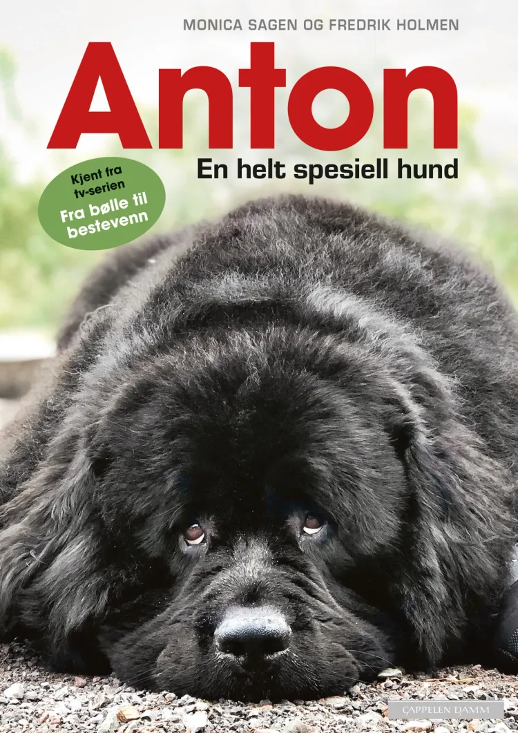 Omslag Anton - En helt spesiell hund av Fredrik Holmen og Monica Sagen (Innbundet)