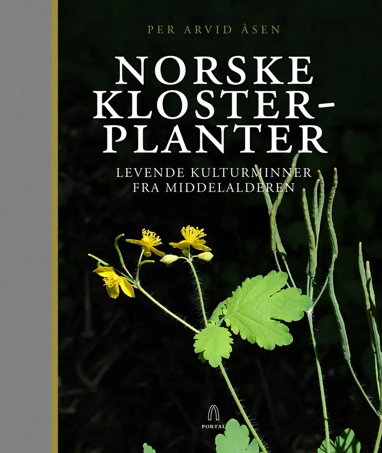 Omslag Norske klosterplanter av Per Arvid Åsen (Innbundet)