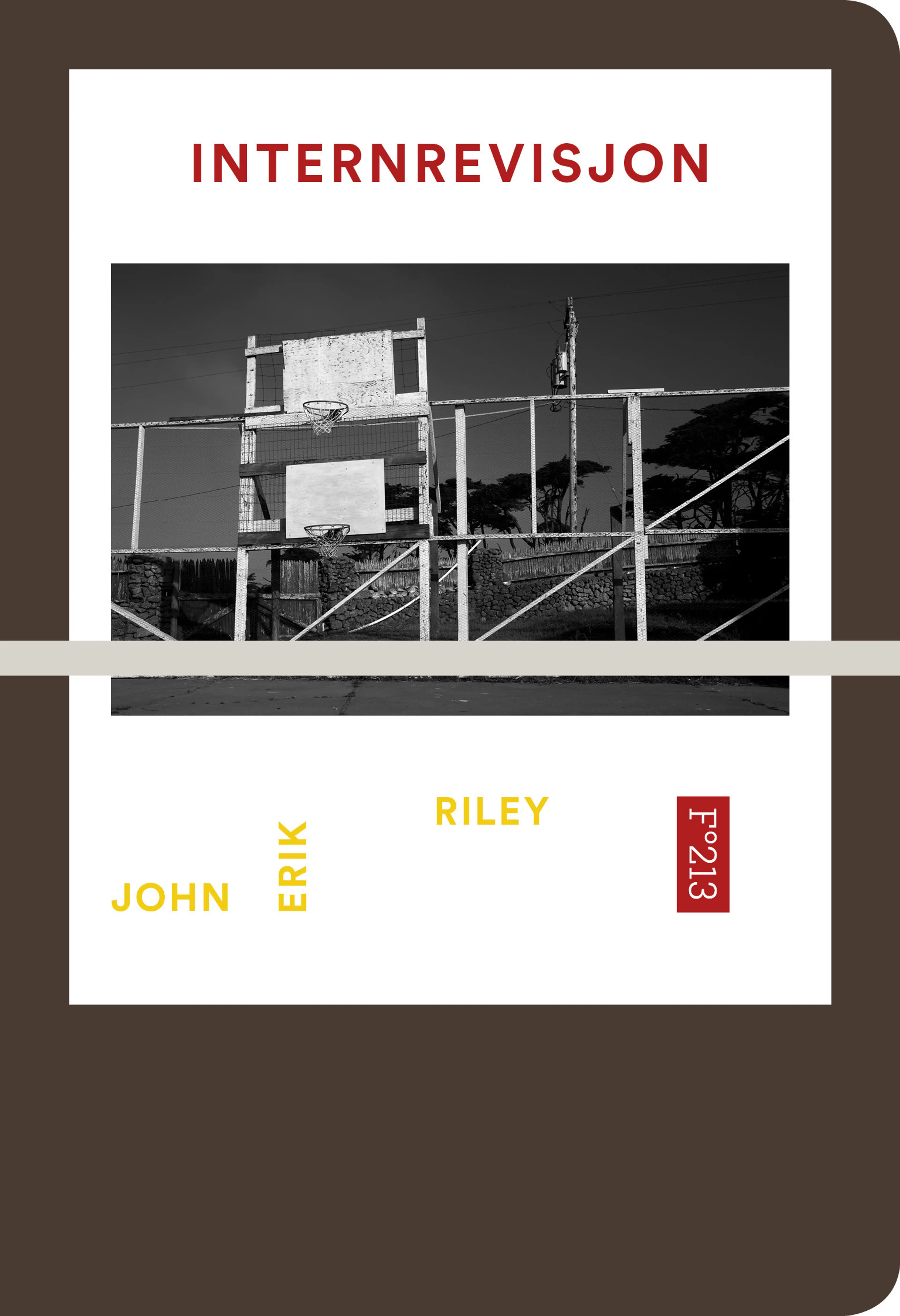Omslag Internrevisjon av John Erik Riley (Heftet)