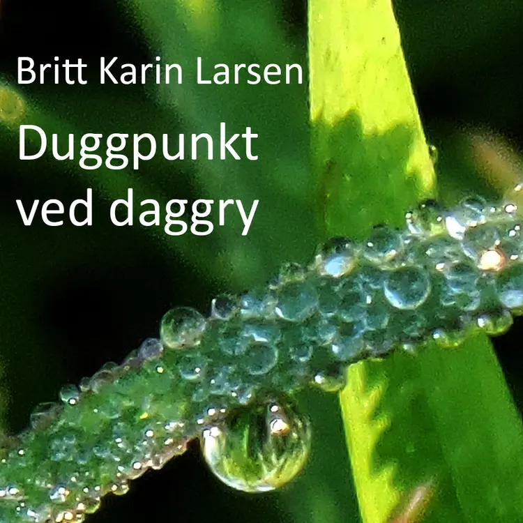 Omslag Duggpunkt ved daggry av Britt Karin Larsen (Lydbok)