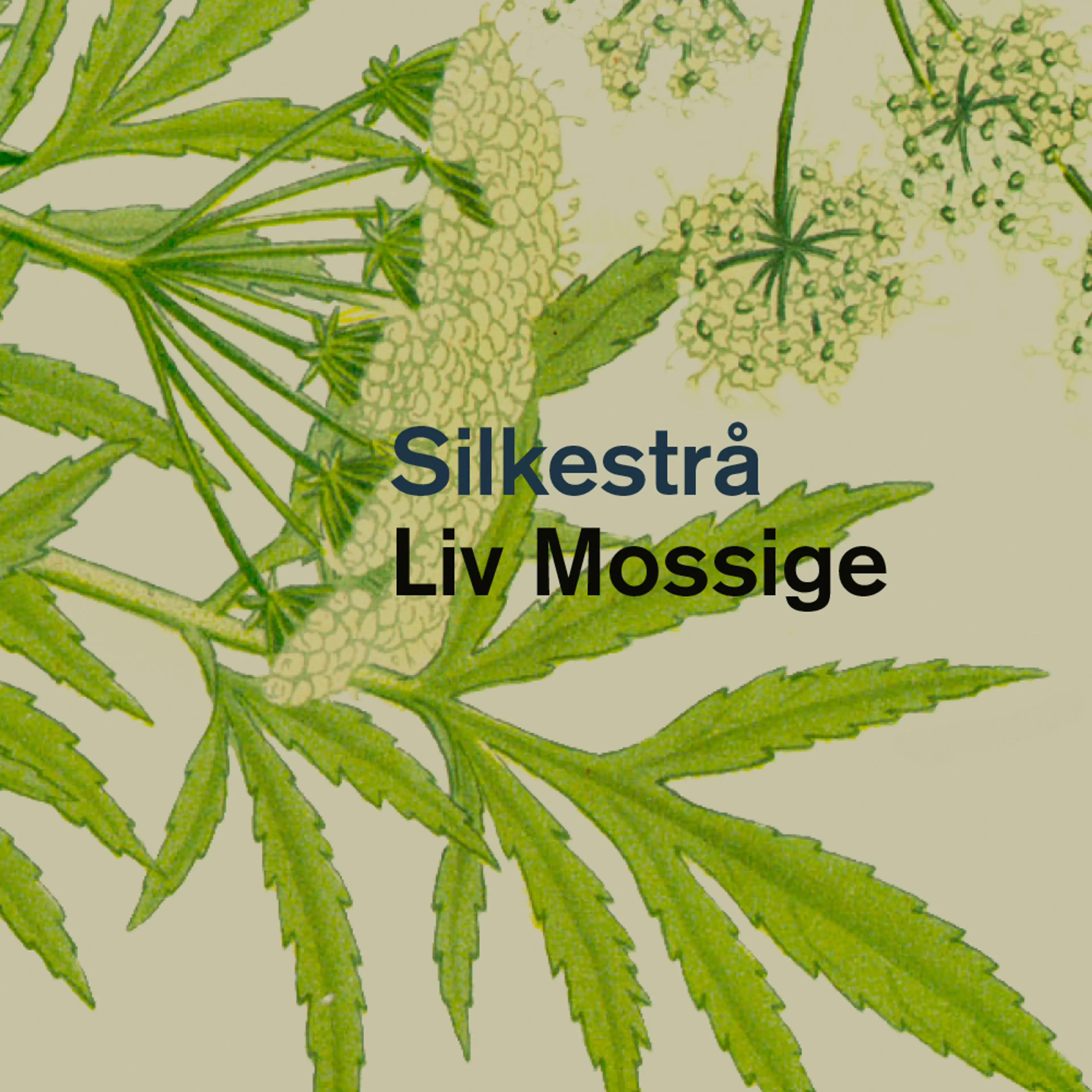Omslag Silkestrå av Liv Mossige (Lydbok)