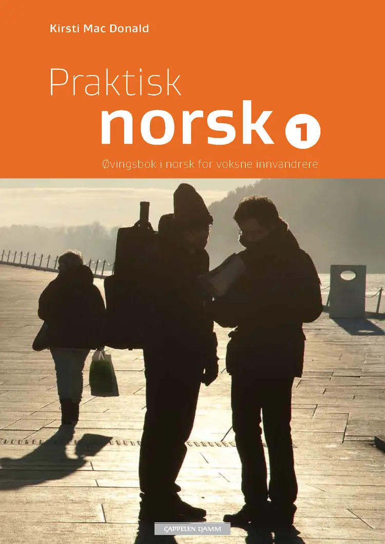 Omslag Praktisk norsk 1 (2013) av Kirsti Mac Donald (Heftet)