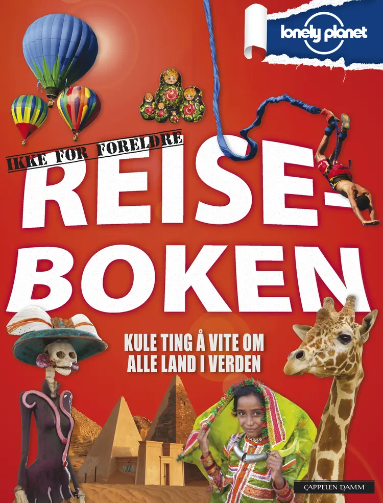 Omslag Reiseboken (Innbundet)