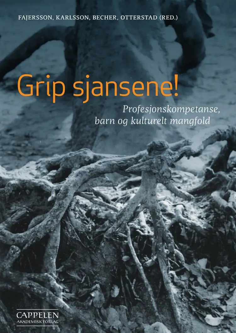 Omslag Grip sjansene! av Aslaug Andreassen Becher, Eivind Karlsson, Karin Elise Fajersson og Ann Merete Otterstad (Heftet)