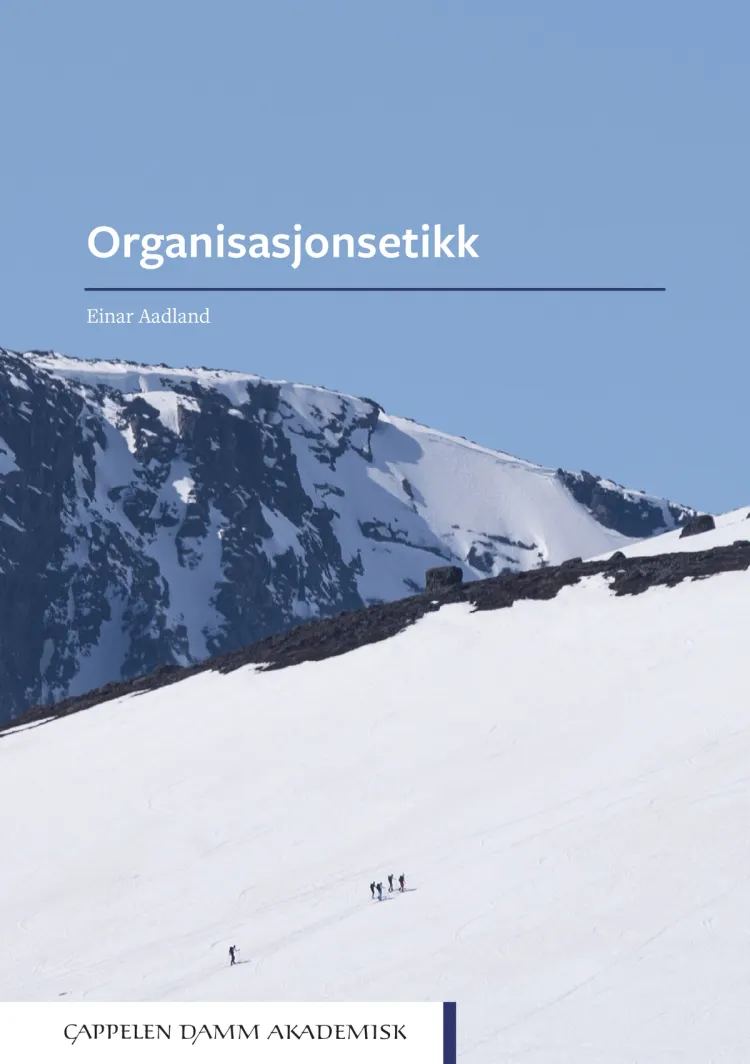 Omslag Organisasjonsetikk av Einar Aadland (Heftet)