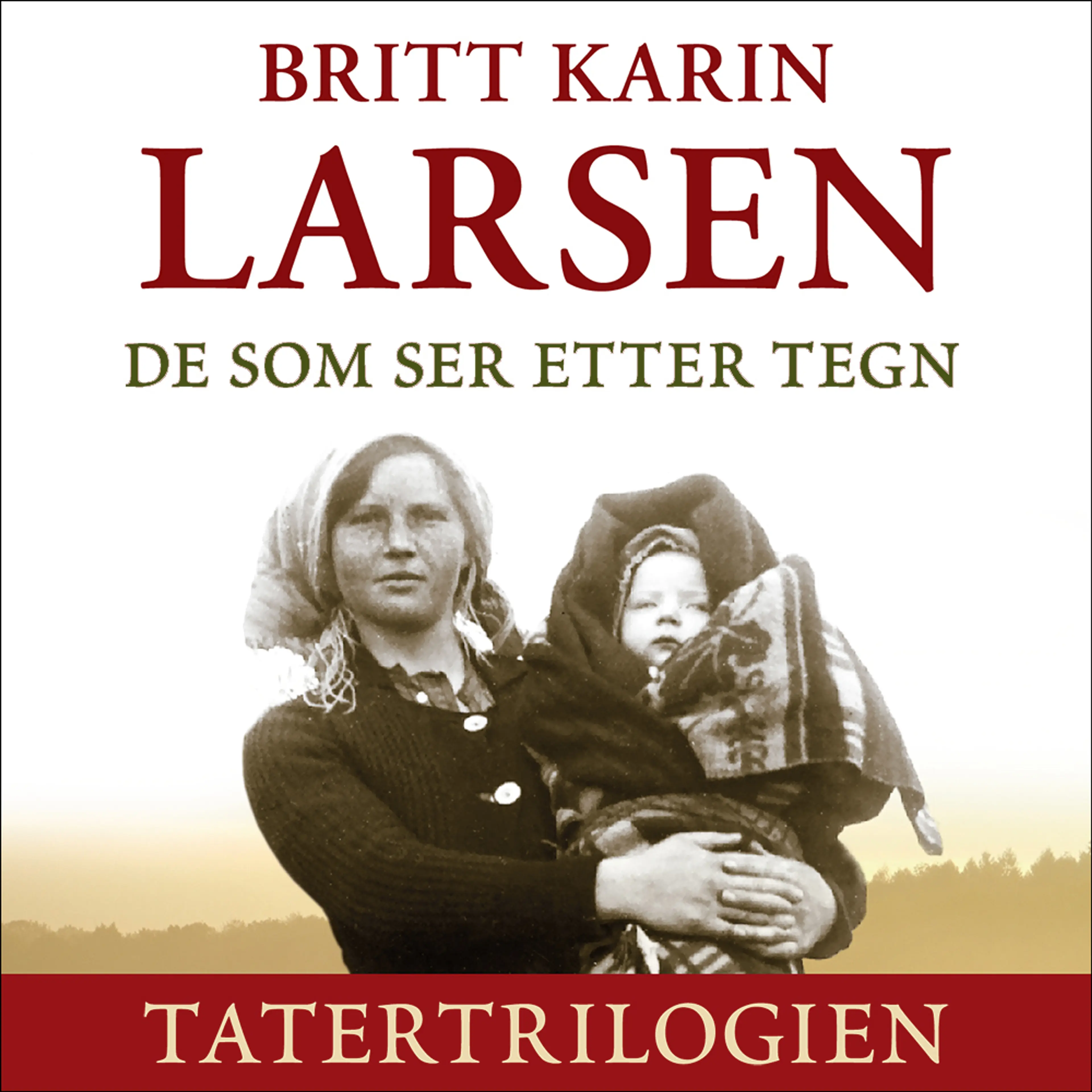 Omslag De som ser etter tegn av Britt Karin Larsen (Lydbok)