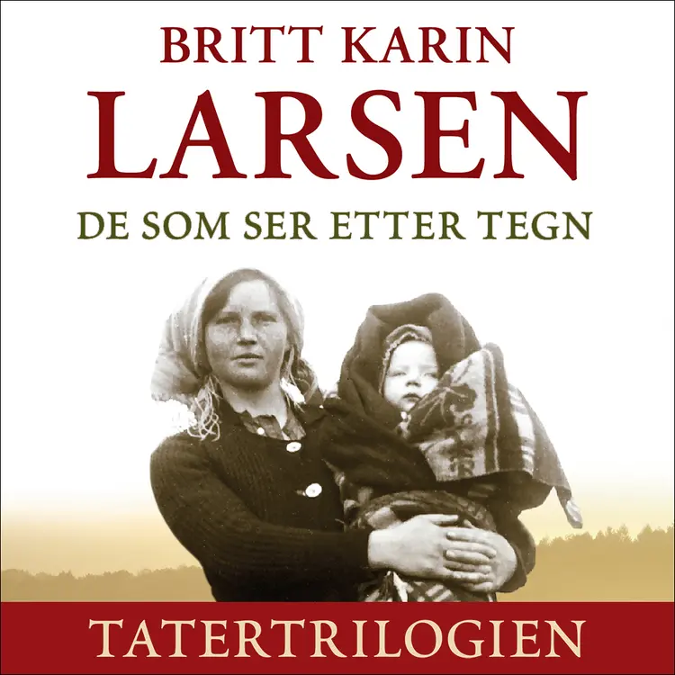 Omslag De som ser etter tegn av Britt Karin Larsen (Lydbok)