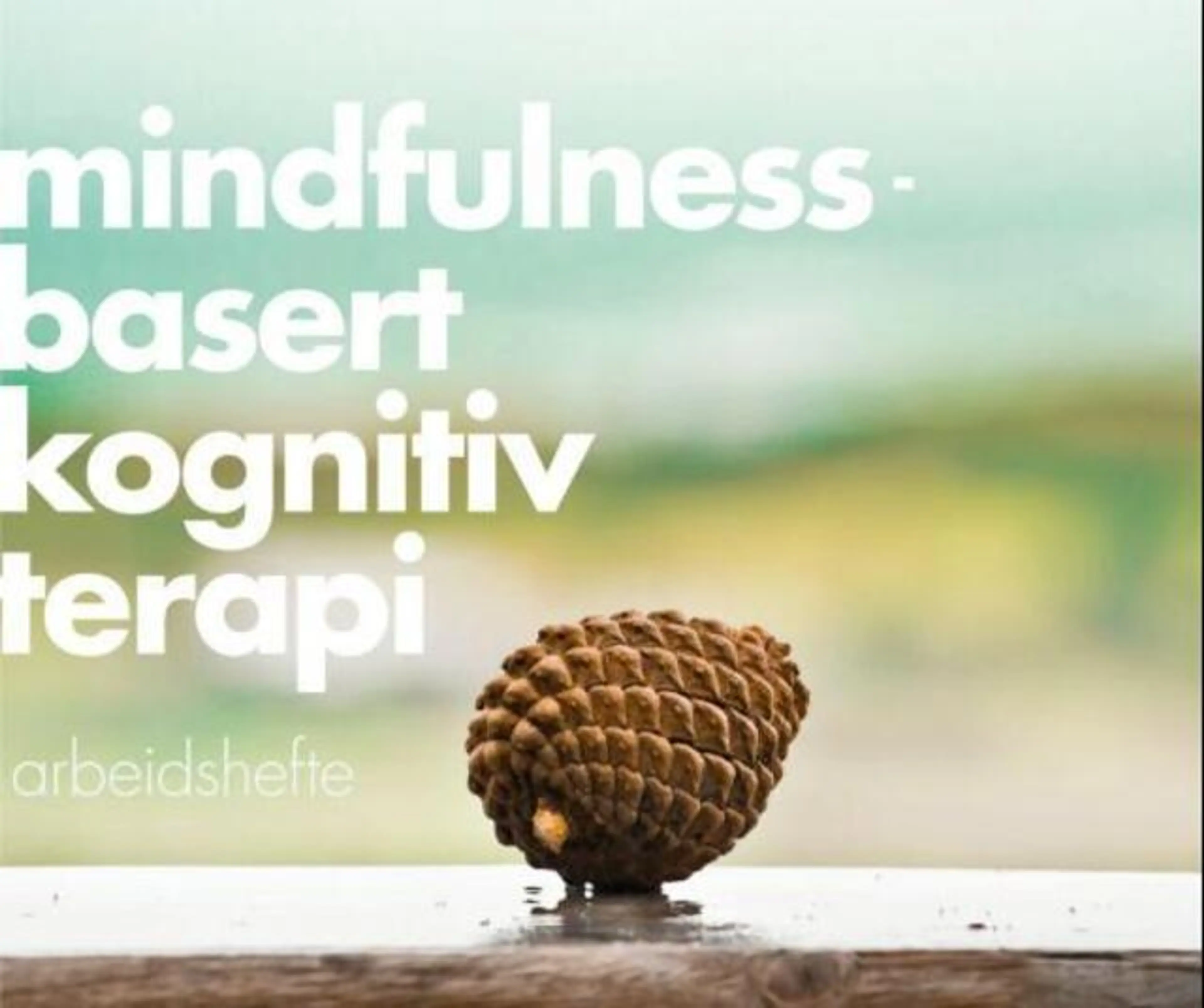 Omslag Mindfulnessbasert kognitiv terapi av Signe-Lene Kvarstein og Rebekka Egeland (Heftet)