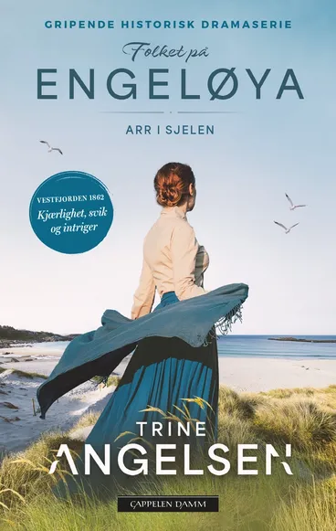 Omslag Arr i sjelen av Trine Angelsen (Heftet)