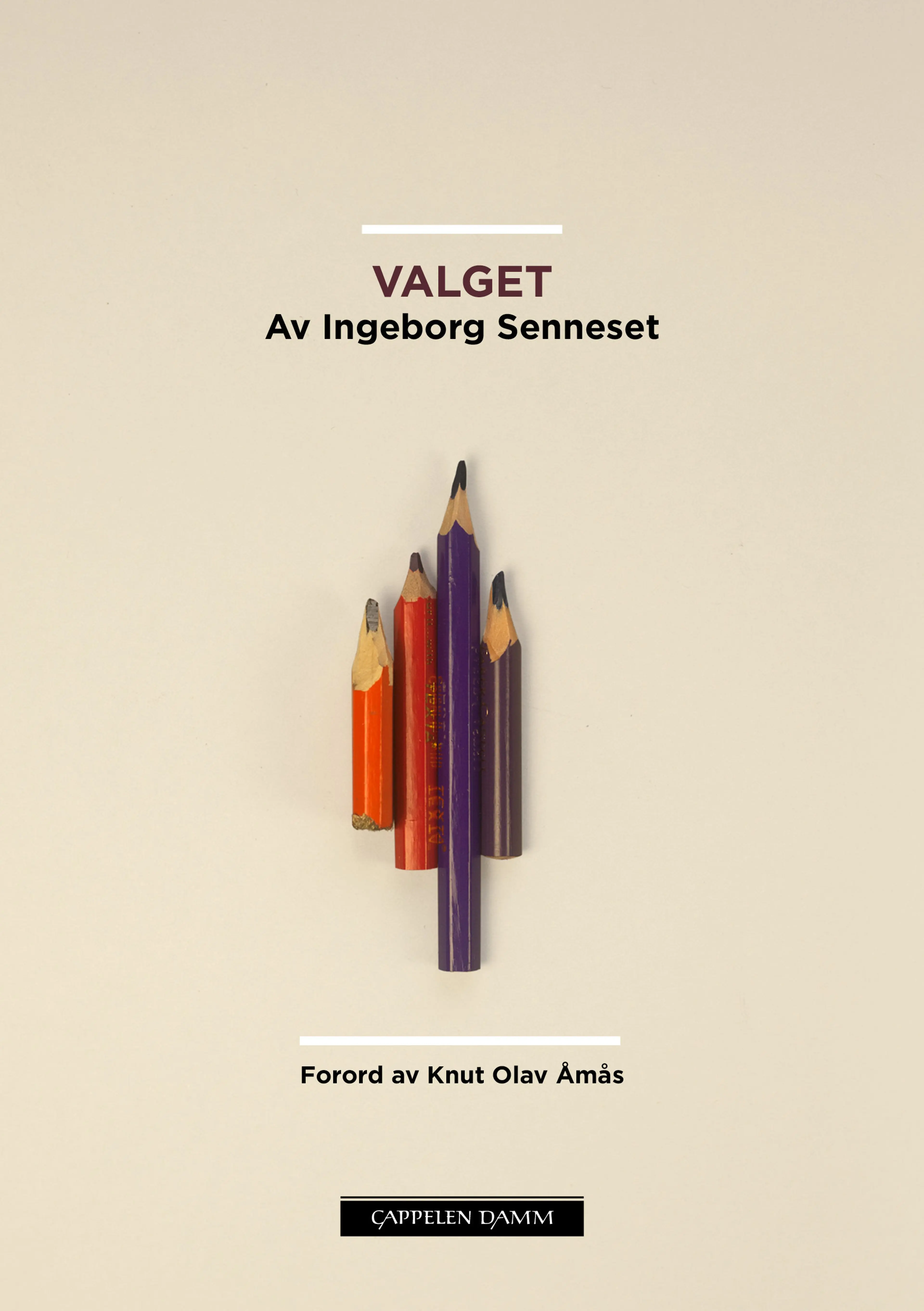 Omslag Valget av Ingeborg Senneset (Ebok)