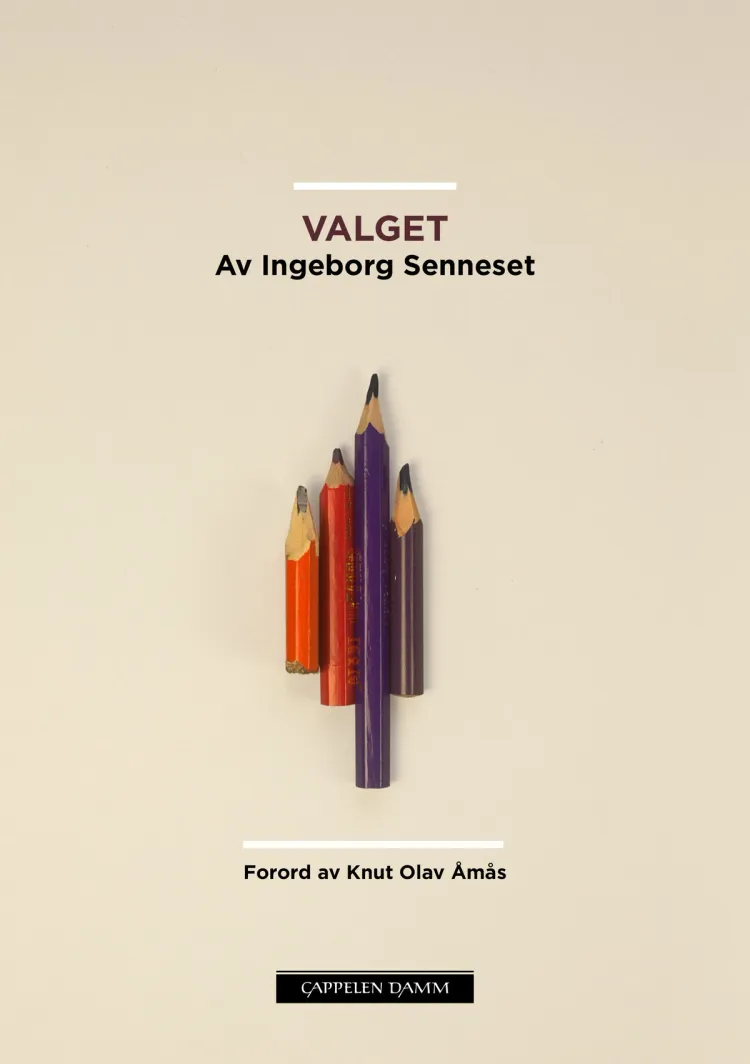 Omslag Valget av Ingeborg Senneset (Ebok)