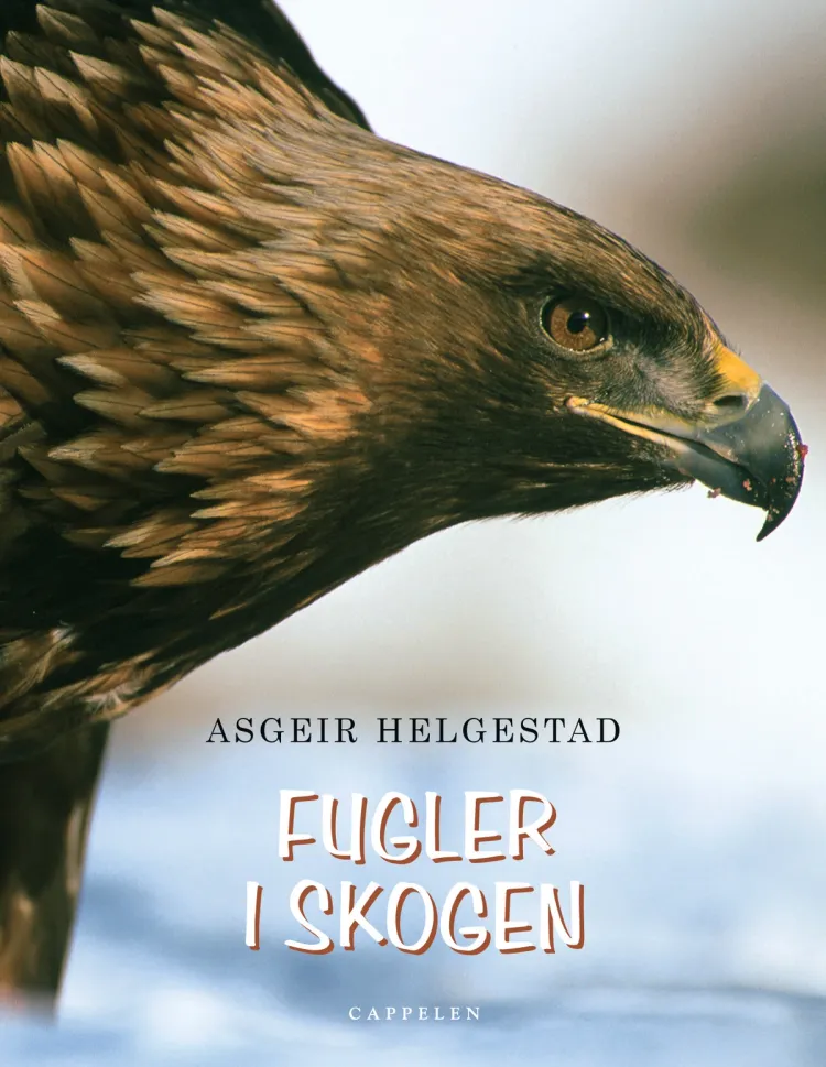 Omslag Fugler i skogen av Asgeir Helgestad (Innbundet)