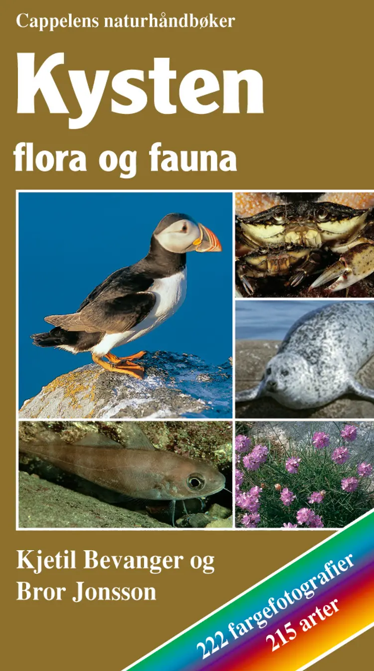Omslag Kysten - flora og fauna av Bevanger / Jonsson (Innbundet)