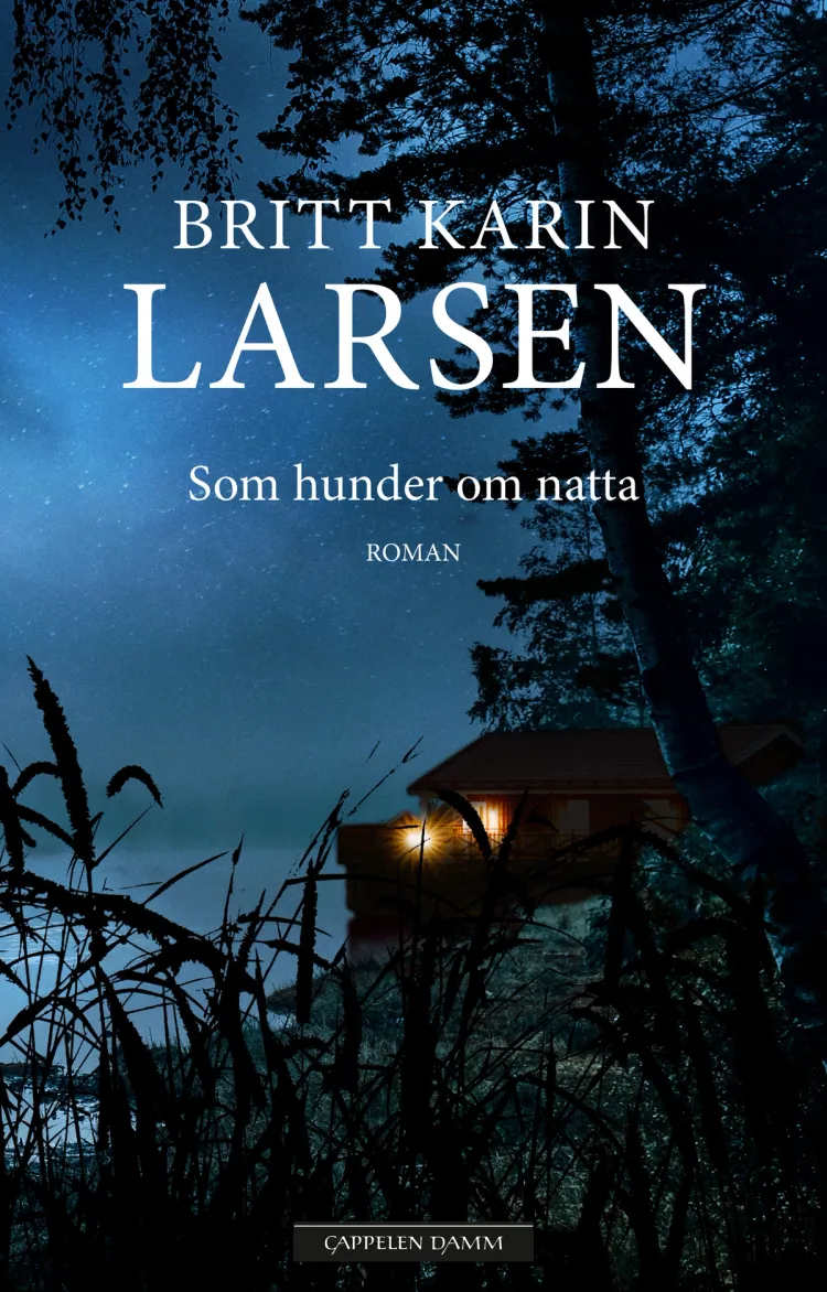Omslag Som hunder om natta av Britt Karin Larsen (Innbundet)