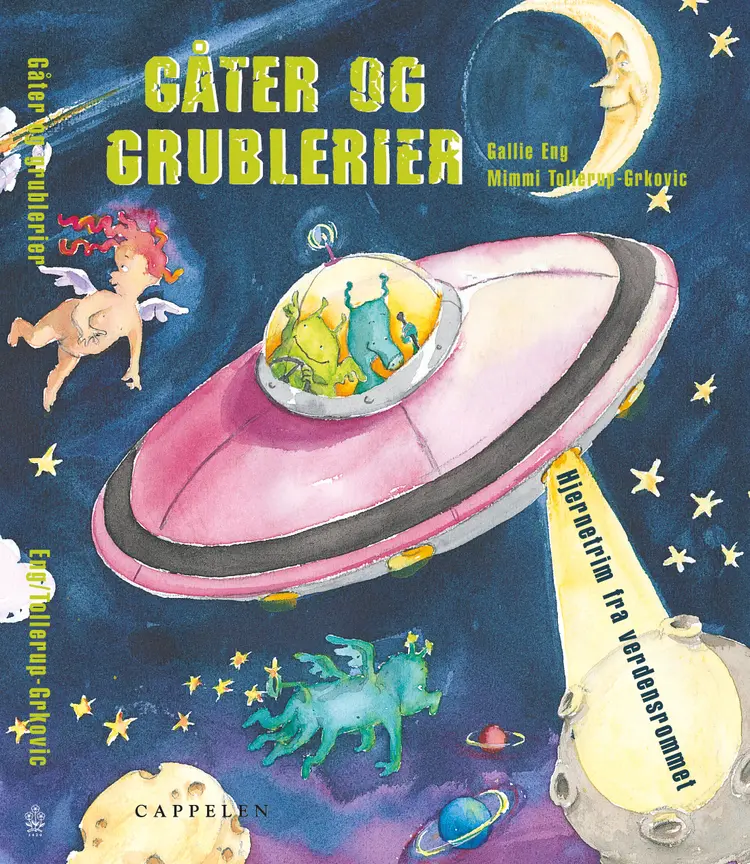 Omslag Gåter og grublerier av Gallie Eng (Innbundet)