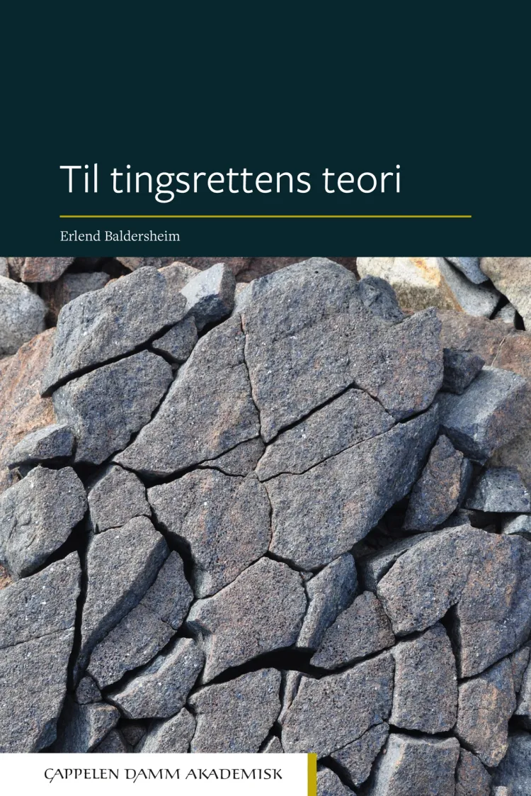 Omslag Til tingsrettens teori av Erlend Baldersheim (Innbundet)