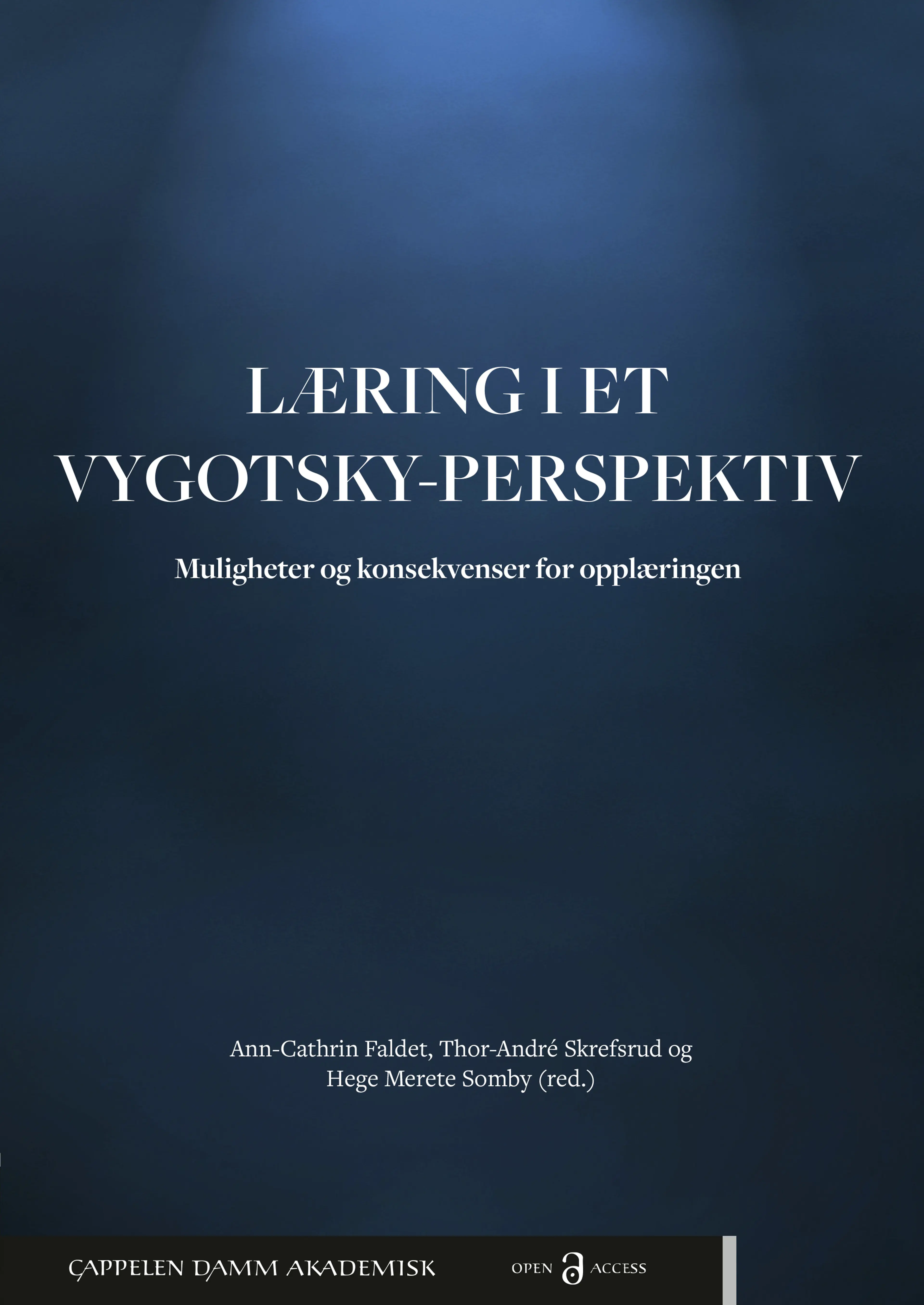 Omslag Læring i et Vygotsky-perspektiv av Ann-Cathrin Faldet, Thor-André Skrefsrud og Hege Merete Somby (red.) (Heftet)