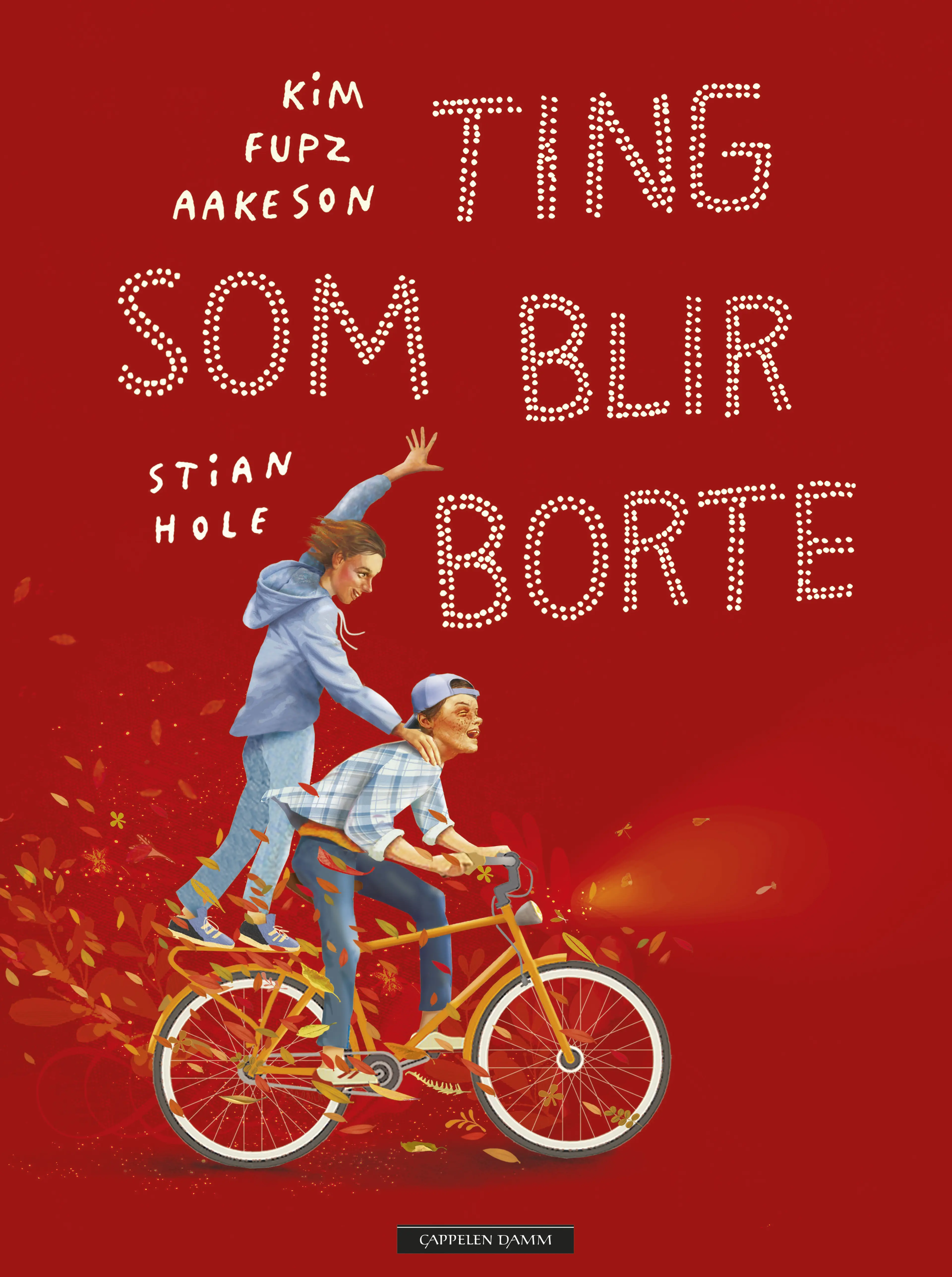 Omslag Ting som blir borte av Kim Fupz Aakeson og Stian Hole (Innbundet)