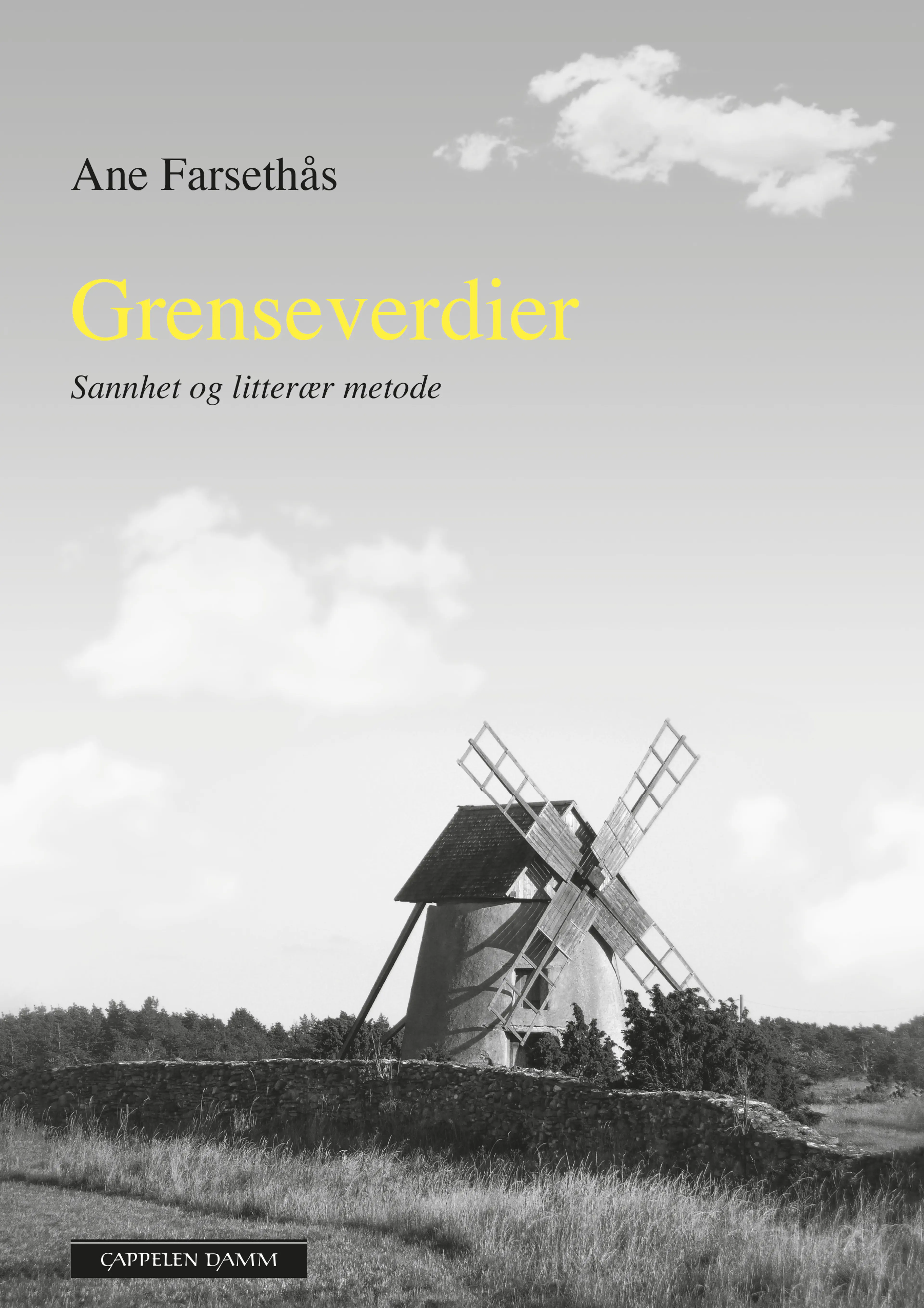 Omslag Grenseverdier av Ane Farsethås (Innbundet)