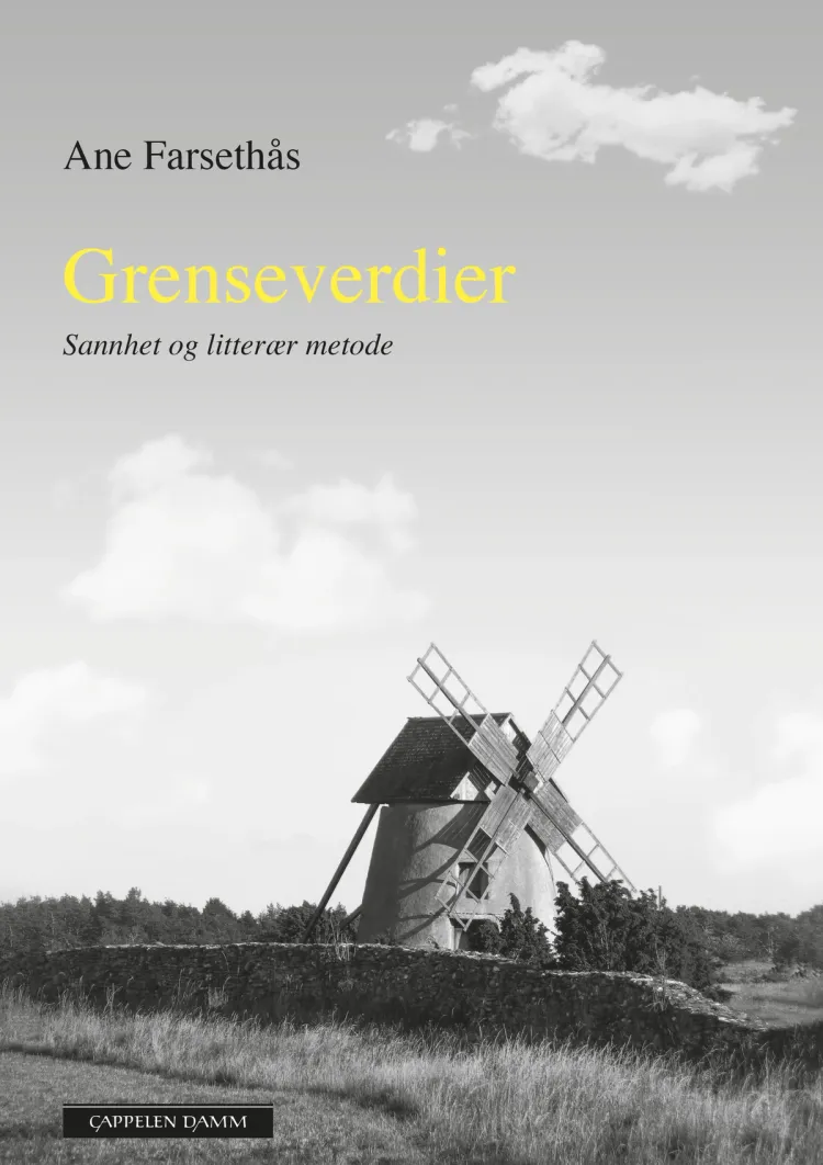 Omslag Grenseverdier av Ane Farsethås (Innbundet)