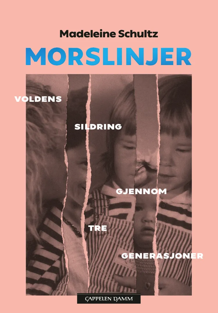 Omslag Morslinjer av Madeleine Schultz (Innbundet)