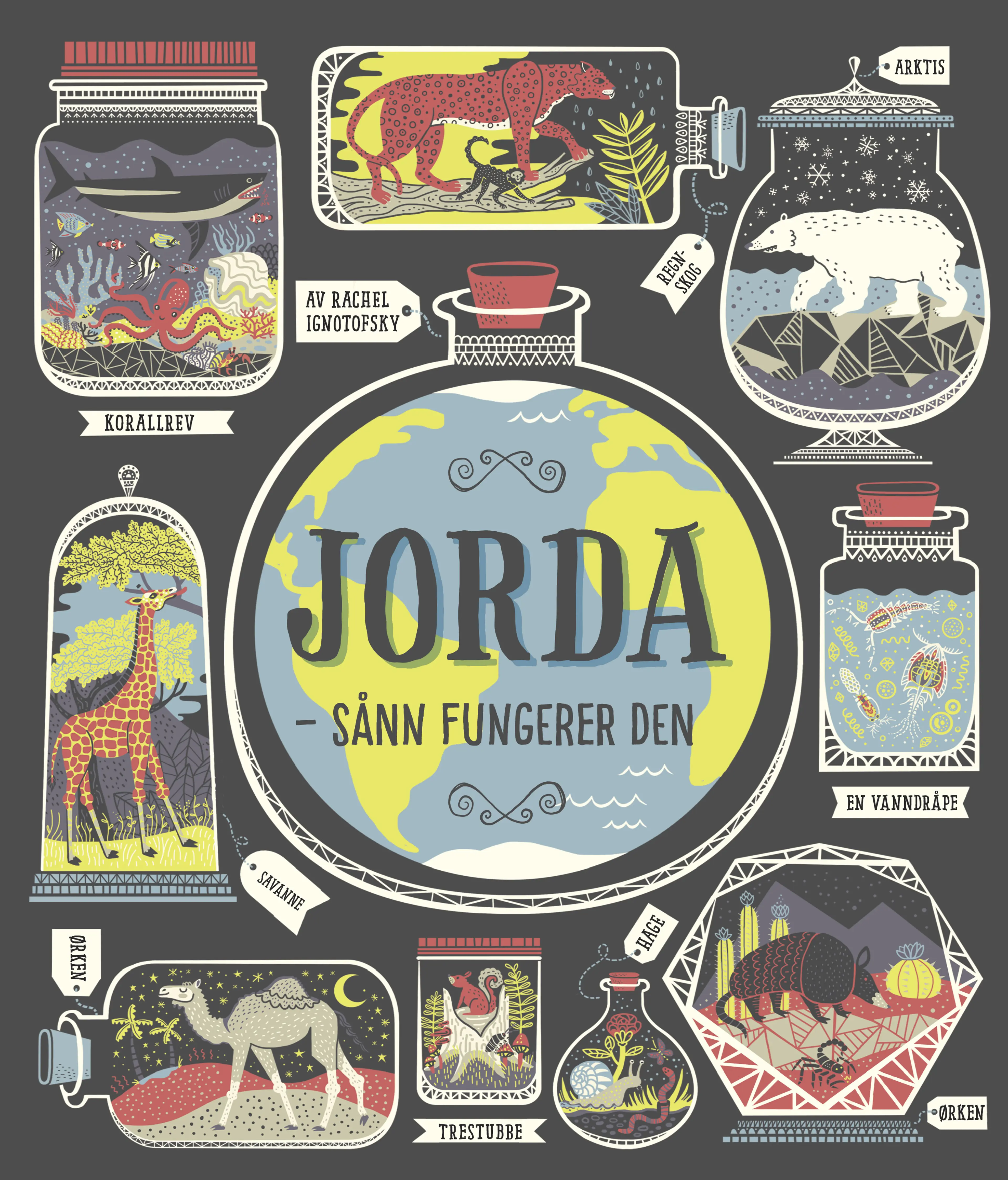 Omslag JORDA – sånn fungerer den av Rachel Ignotofsky (Innbundet)