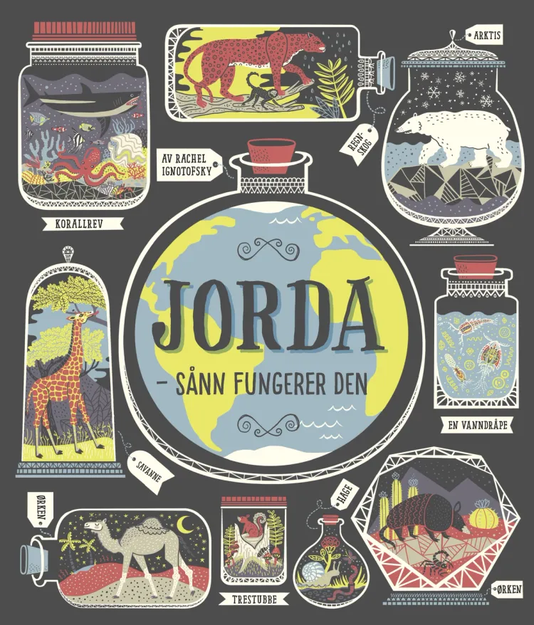 Omslag JORDA – sånn fungerer den av Rachel Ignotofsky (Innbundet)