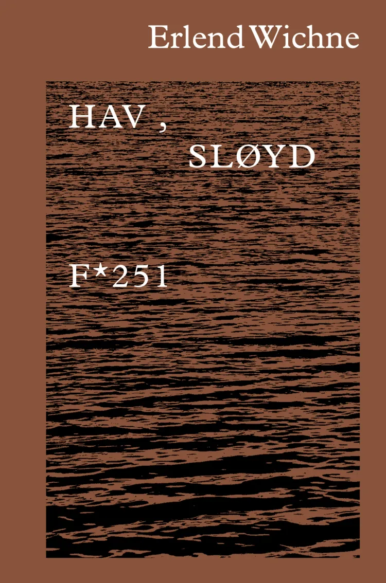 Omslag Hav, sløyd av Erlend Wichne (Innbundet)