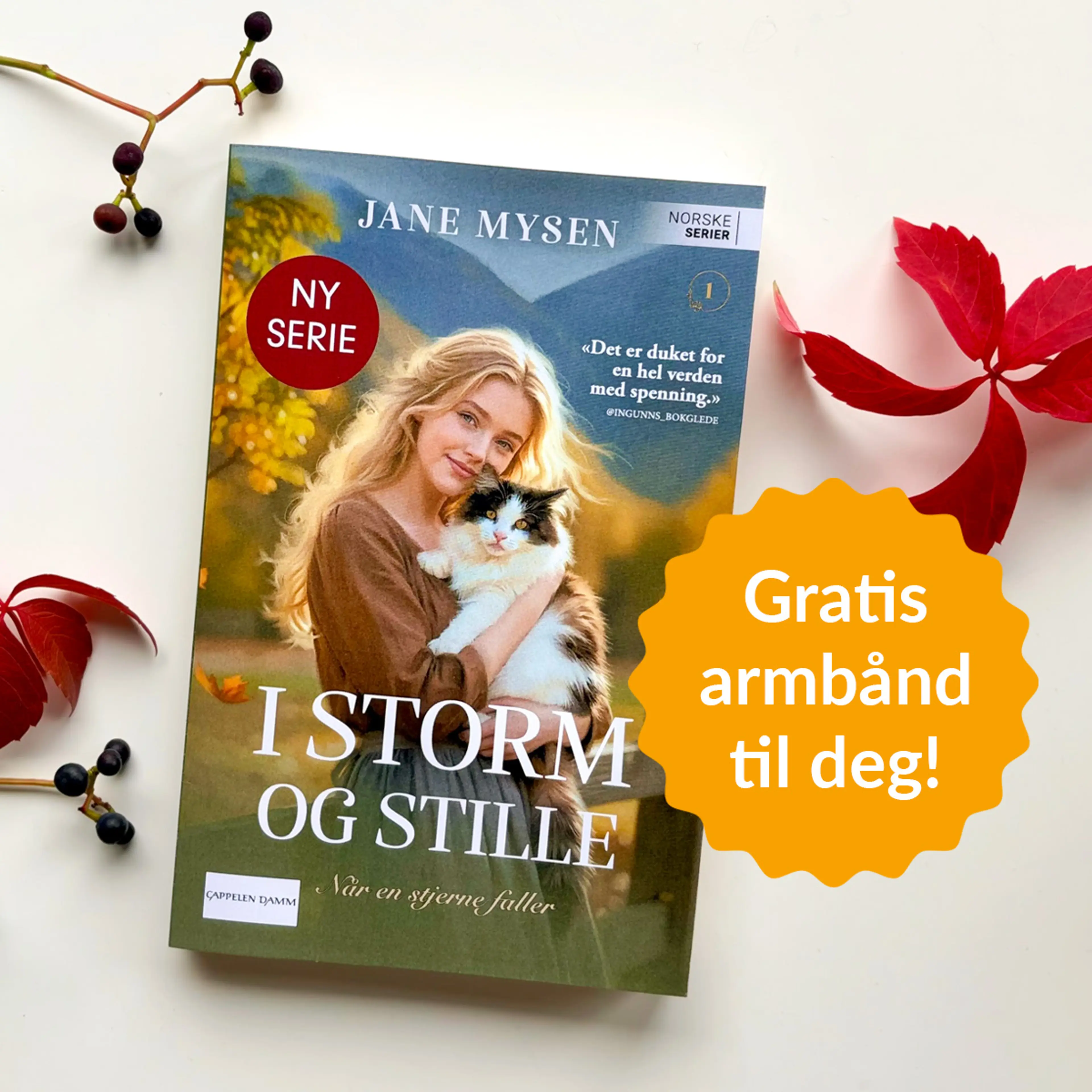Foto av første bok i serien I storm og stille