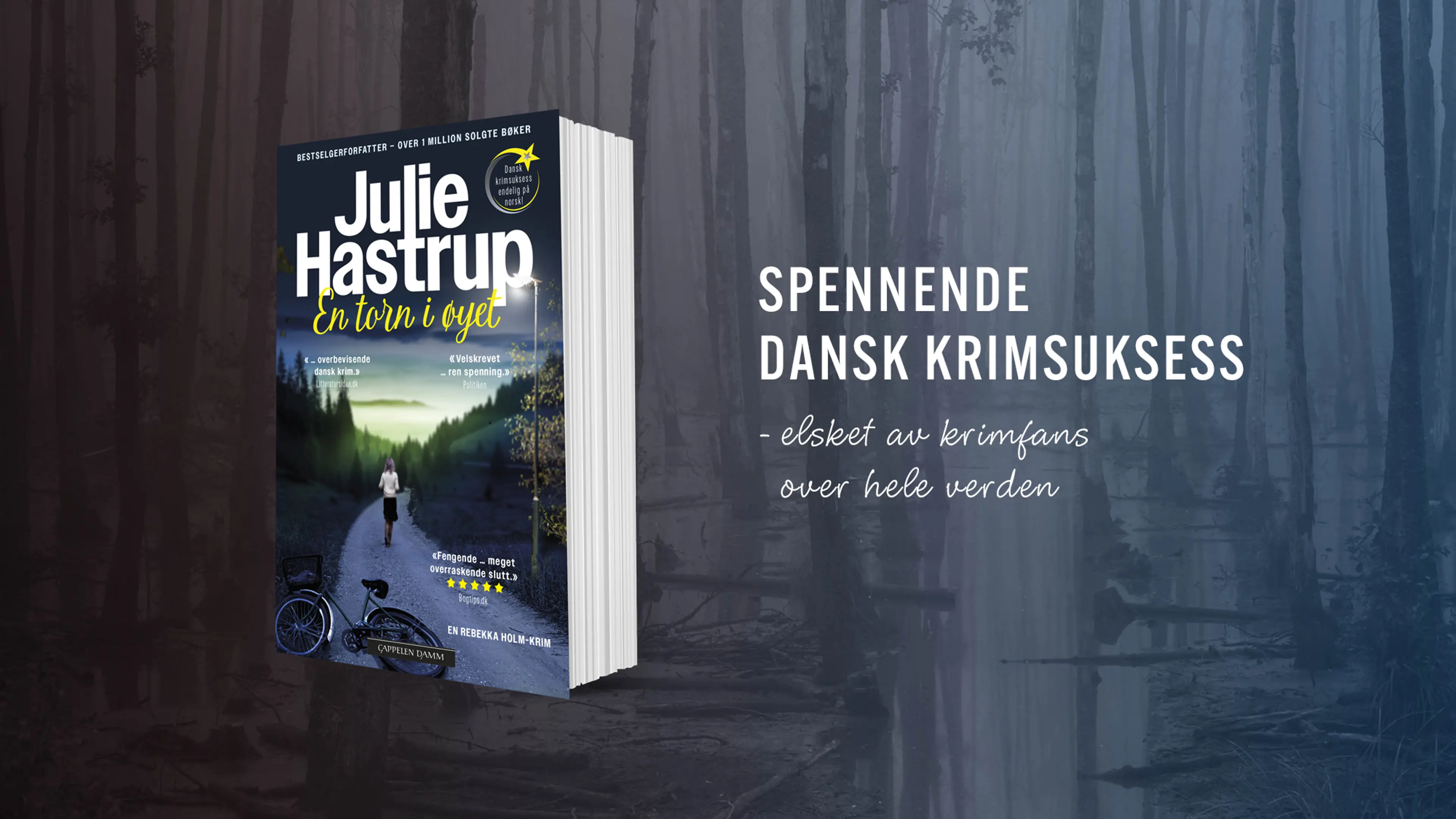 Første bok i serien om Rebekka Holm