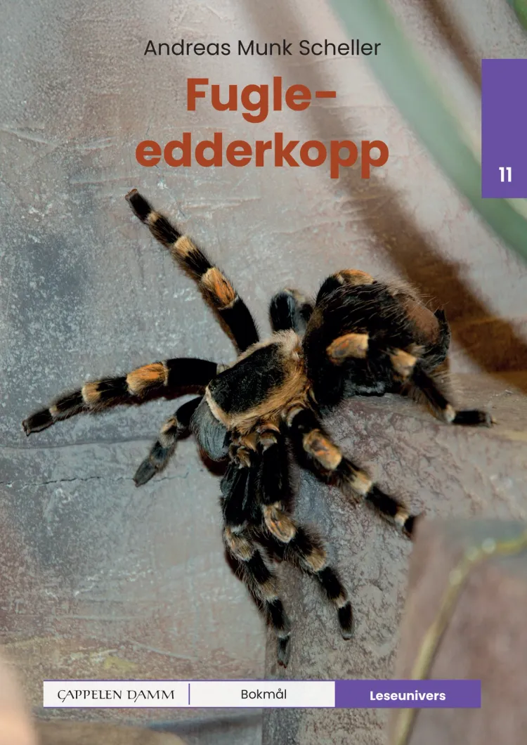 Omslag Leseunivers 11: Fugleedderkopp av Andreas Munk Scheller (Innbundet)