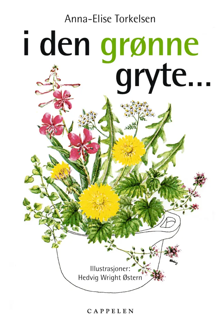 Omslag I den grønne gryte av Torkelsen, Anna-Elise / Østern, Hedvig Wright (Heftet)