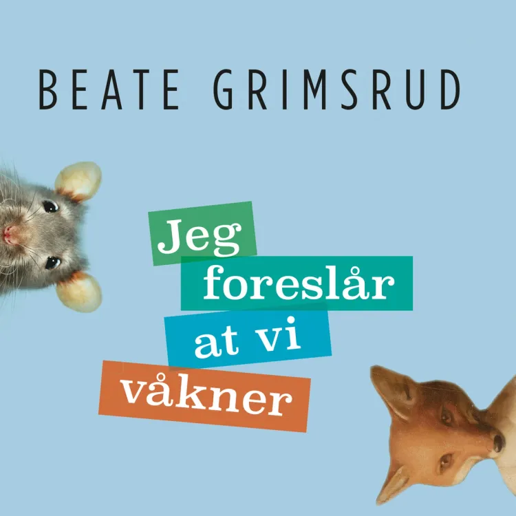 Omslag Jeg foreslår at vi våkner av Beate Grimsrud (Lydbok)