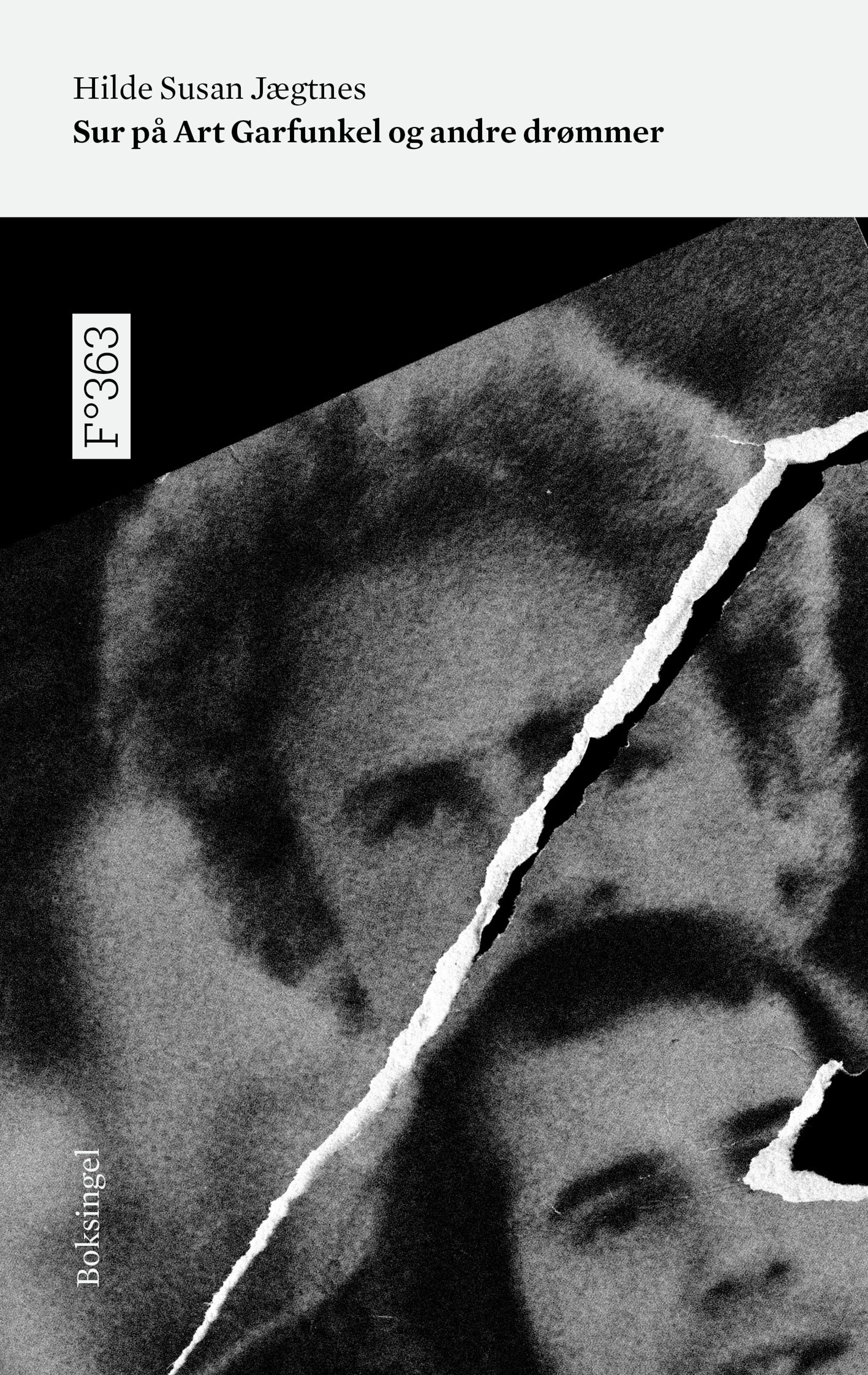 Omslag Sur på Art Garfunkel og andre drømmer av Hilde Susan Jægtnes (Heftet)
